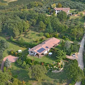 Romy Rocker Italien
