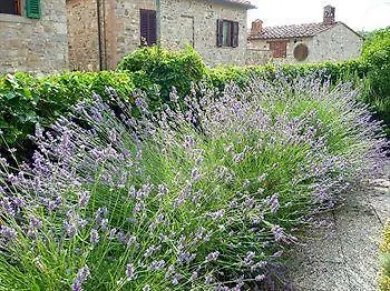 Villa Cristina Castellina in Chianti Bed & Breakfast