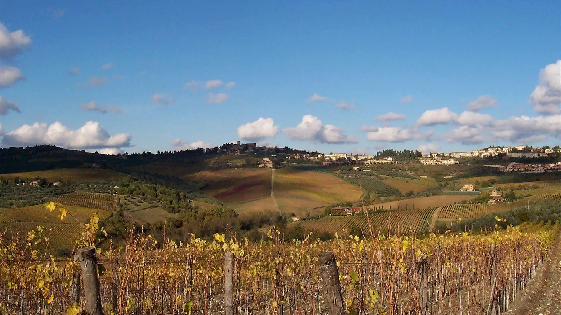 Villa Cristina Castellina in Chianti Bed & Breakfast